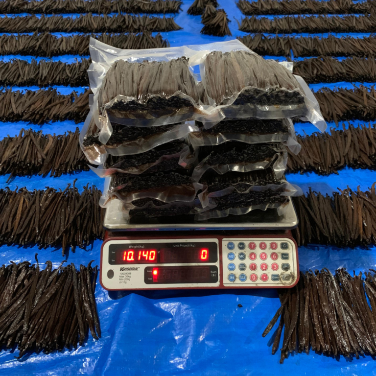 indonesia-vanilla-processing-and-packing