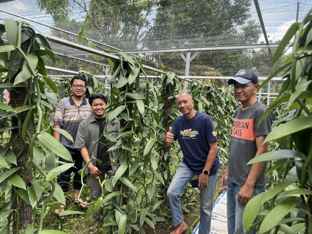vanilla-farm-indonesia