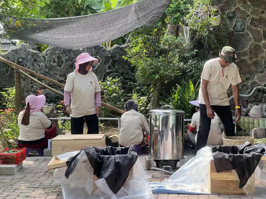 vanilla-indonesia-processing