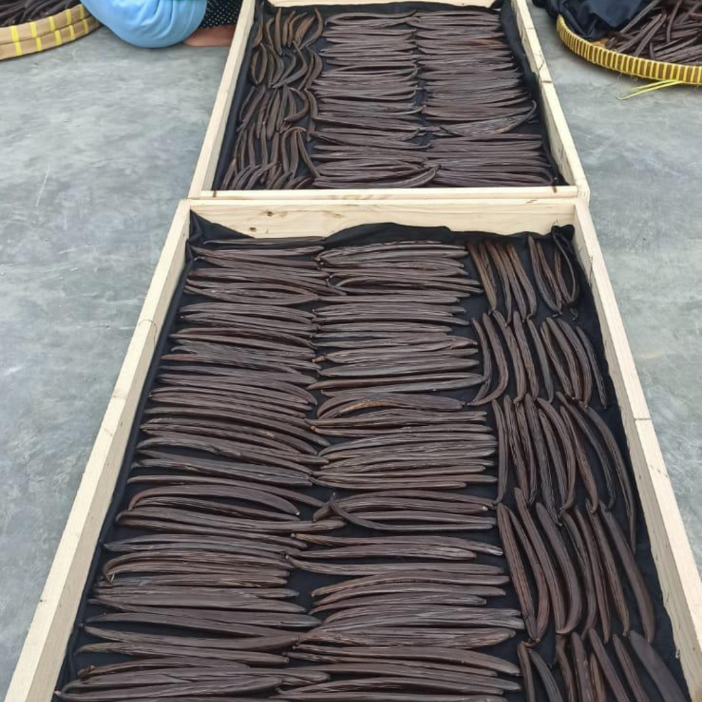 vanilla-stick