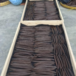 vanilla-stick