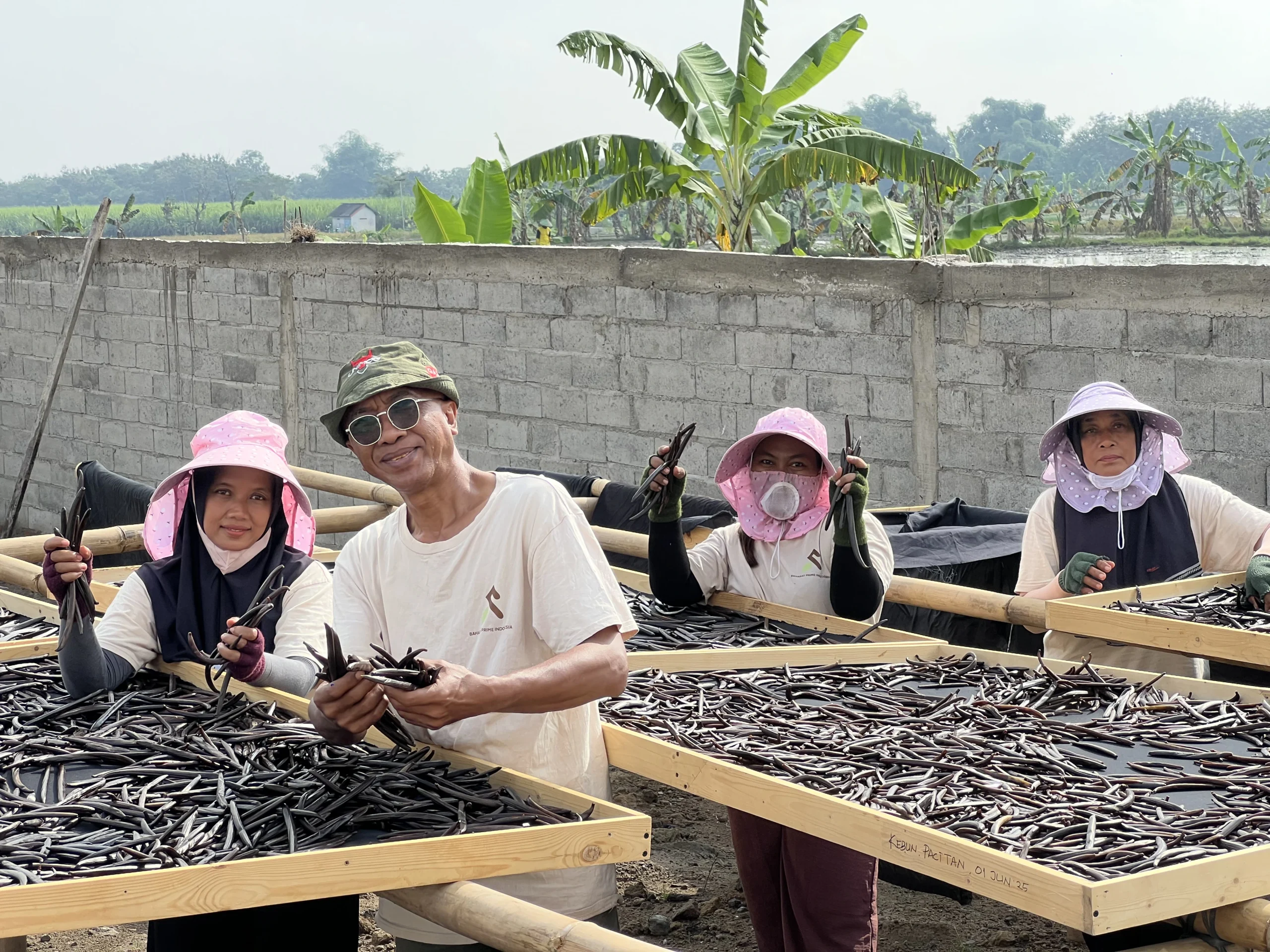 vanilla-indonesia-sundrying