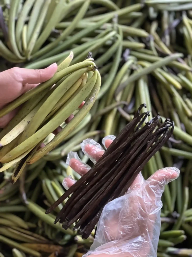 vanilla-product